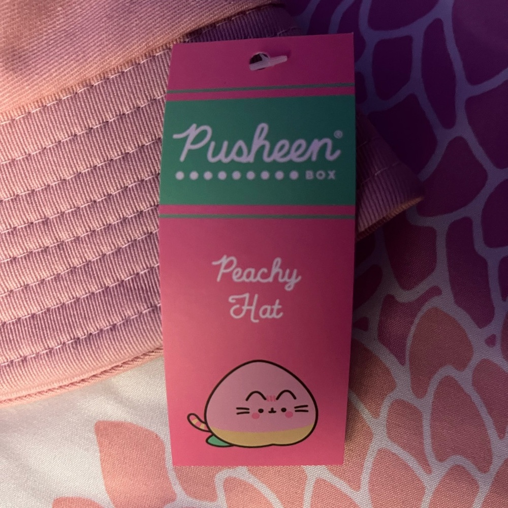 PUSHEEN BOX EXCLUSIVE ‘Peachy Hat’ - Picture 3 of 5
